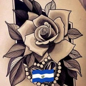 Meet your Posher, Susy